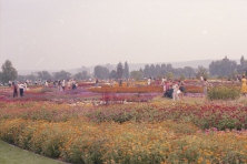 1979-Bombakkes-Jaarlijkse-Reis-06